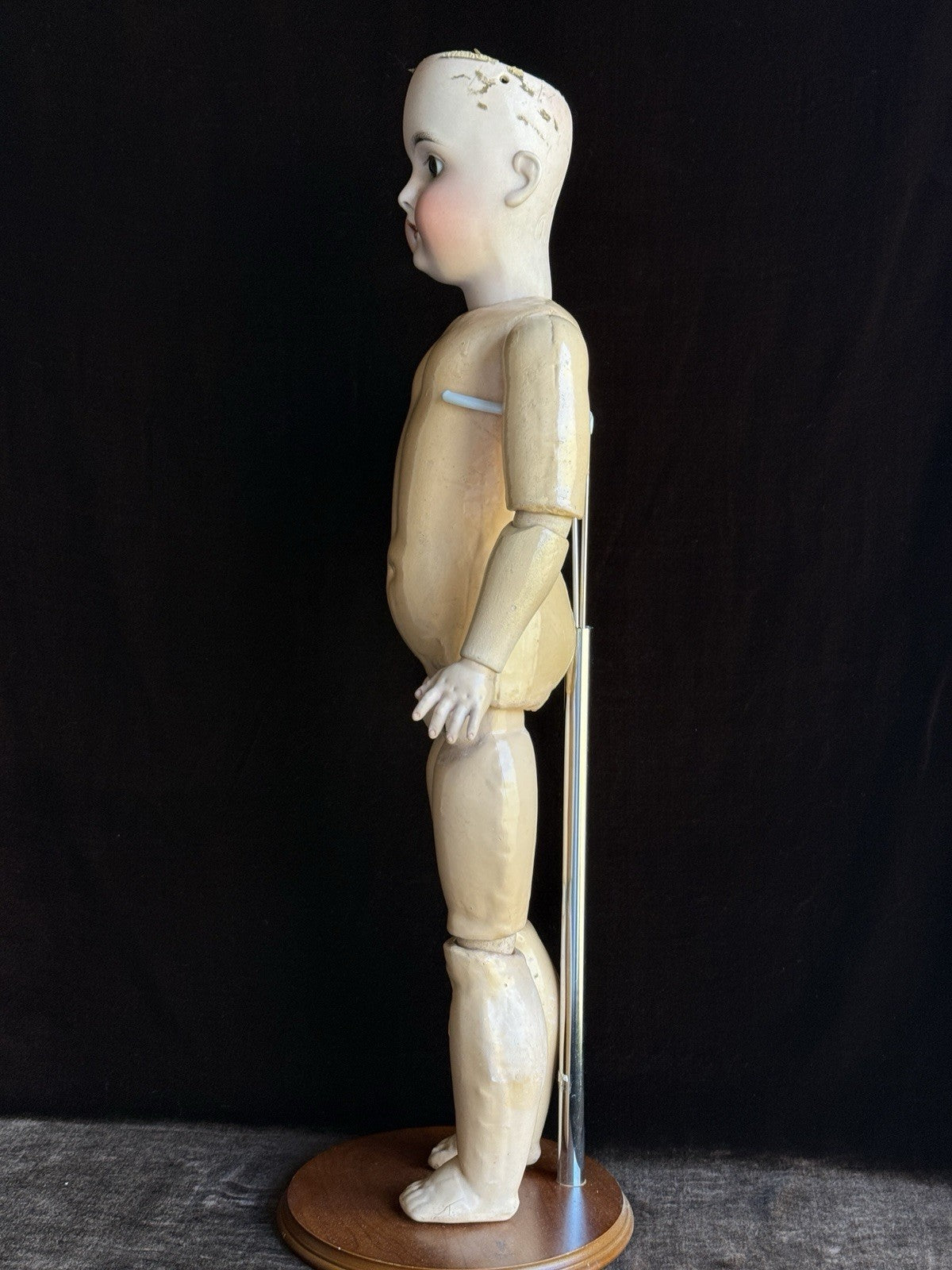 Antique German 25” Queen Louise Bisque Head Composition Body Doll