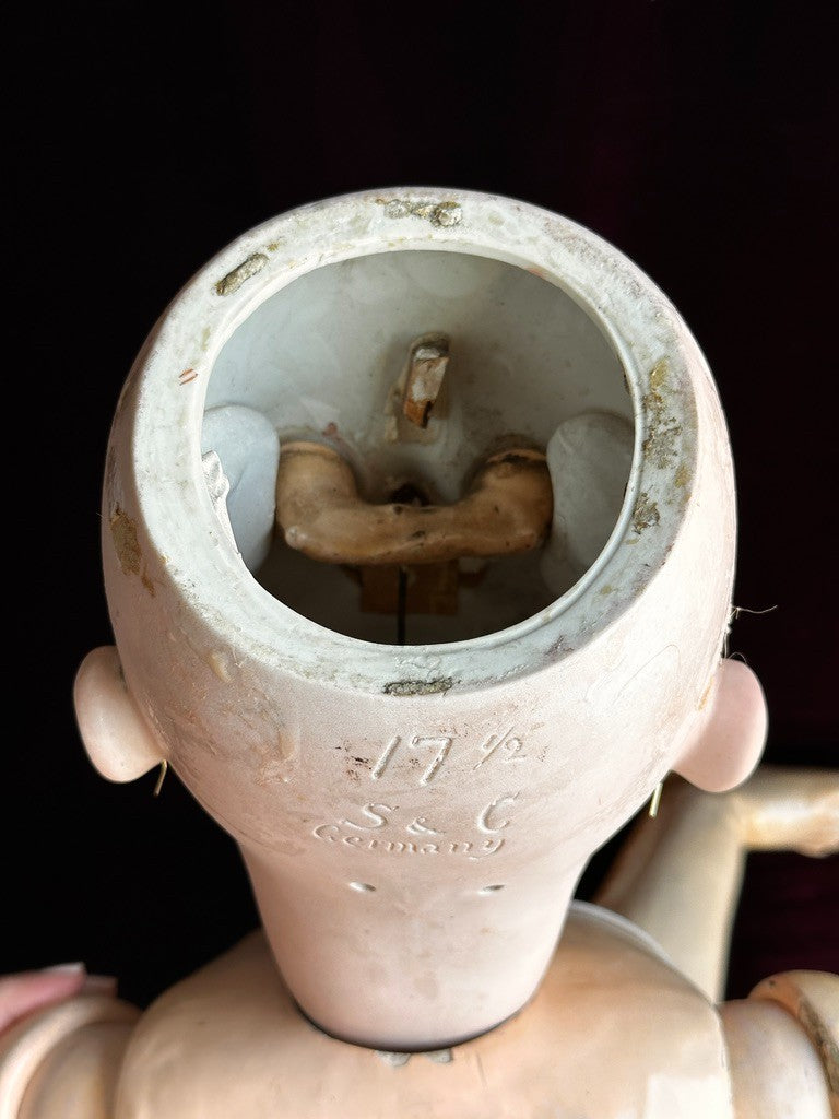 Huge Antique German 36" Franz Schmidt 85 Bisque Head Doll