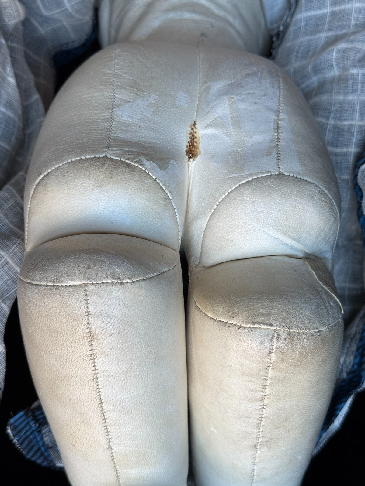 Grand Size Antique French Eugene Barrois (?) Bisque Head Fashion Poupee Doll