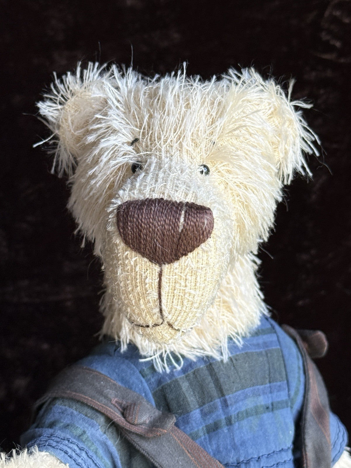 Zwergnase German 14” Fritz Teddy Bear in Box