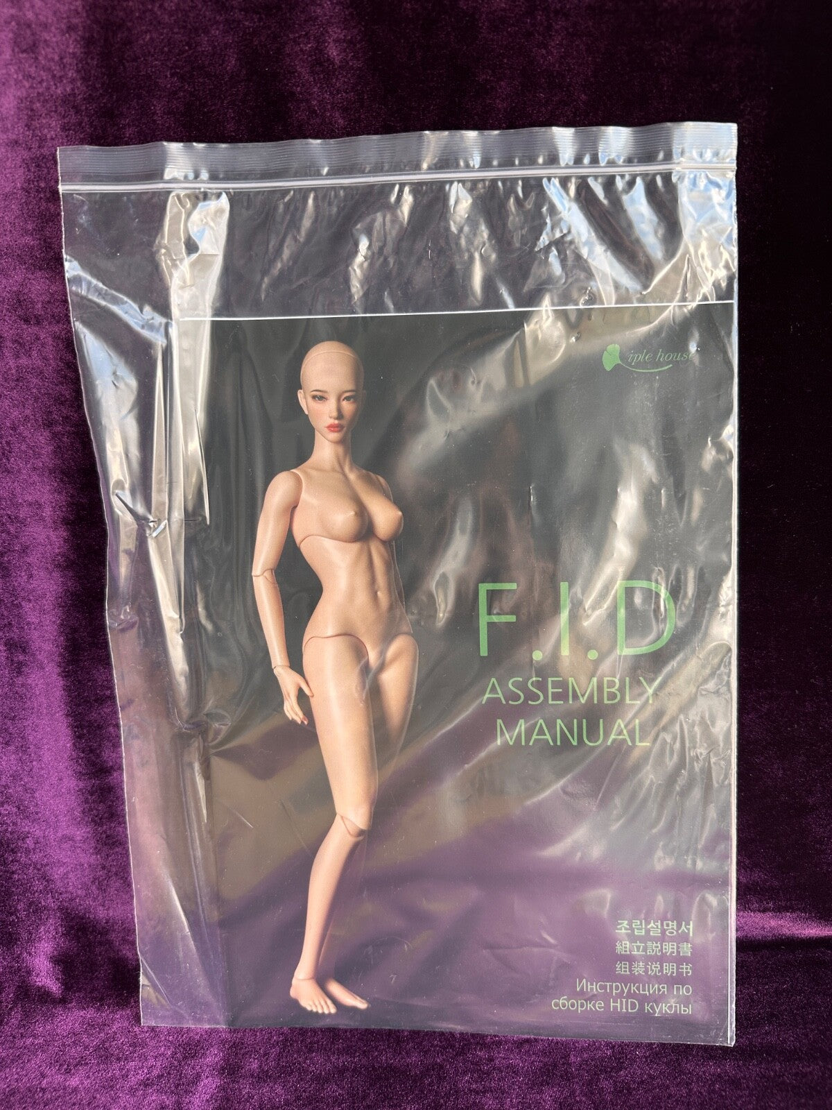 Iple House 17” F.I.D Female Harase BJD 1/4 Resin Fashion Doll Face-Up Wig Box