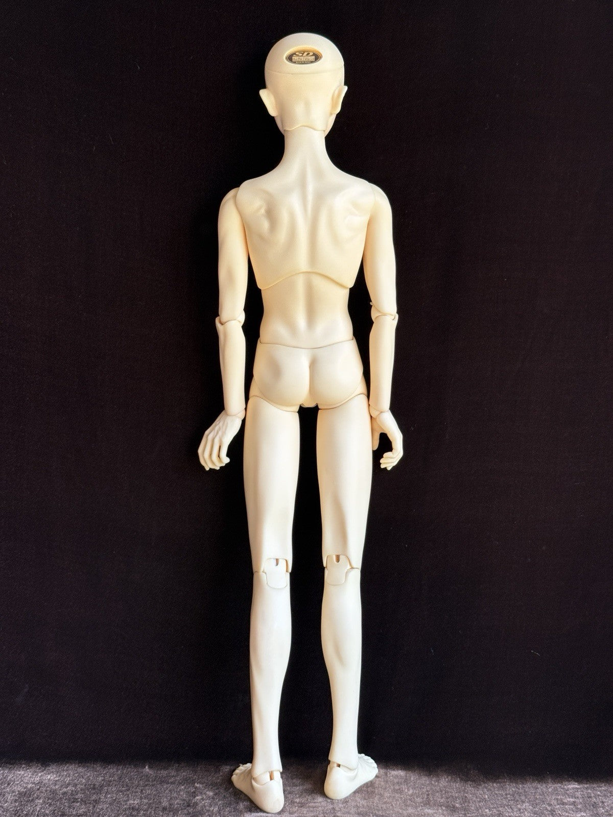 Volks 26” Super Dollfie SD17 Boy Williams The Darkness of Ensign (?) BJD Doll