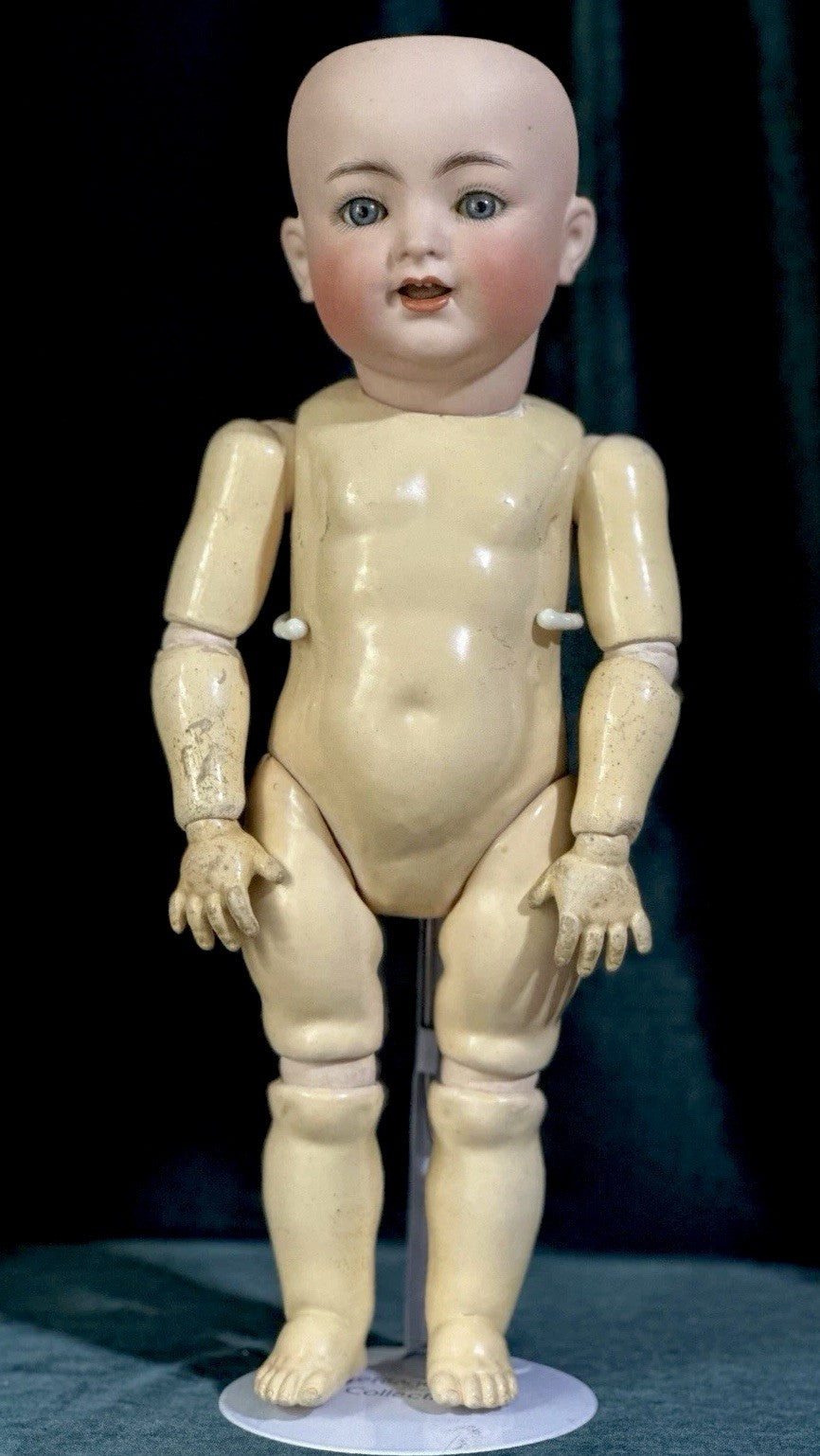 Antique German Kammer & Reinhardt Simon Halbig 16” Toddler Doll Bisque Head