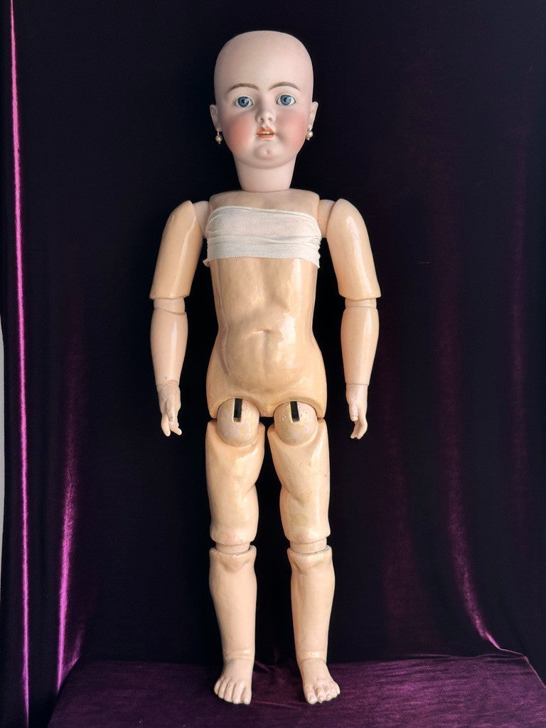 Huge Antique German 36" Franz Schmidt 85 Bisque Head Doll