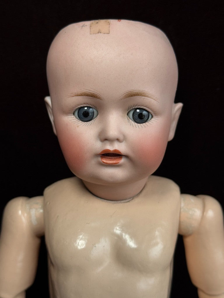 Antique German 17” Kestner JDK 260 Bisque Head Toddler Doll