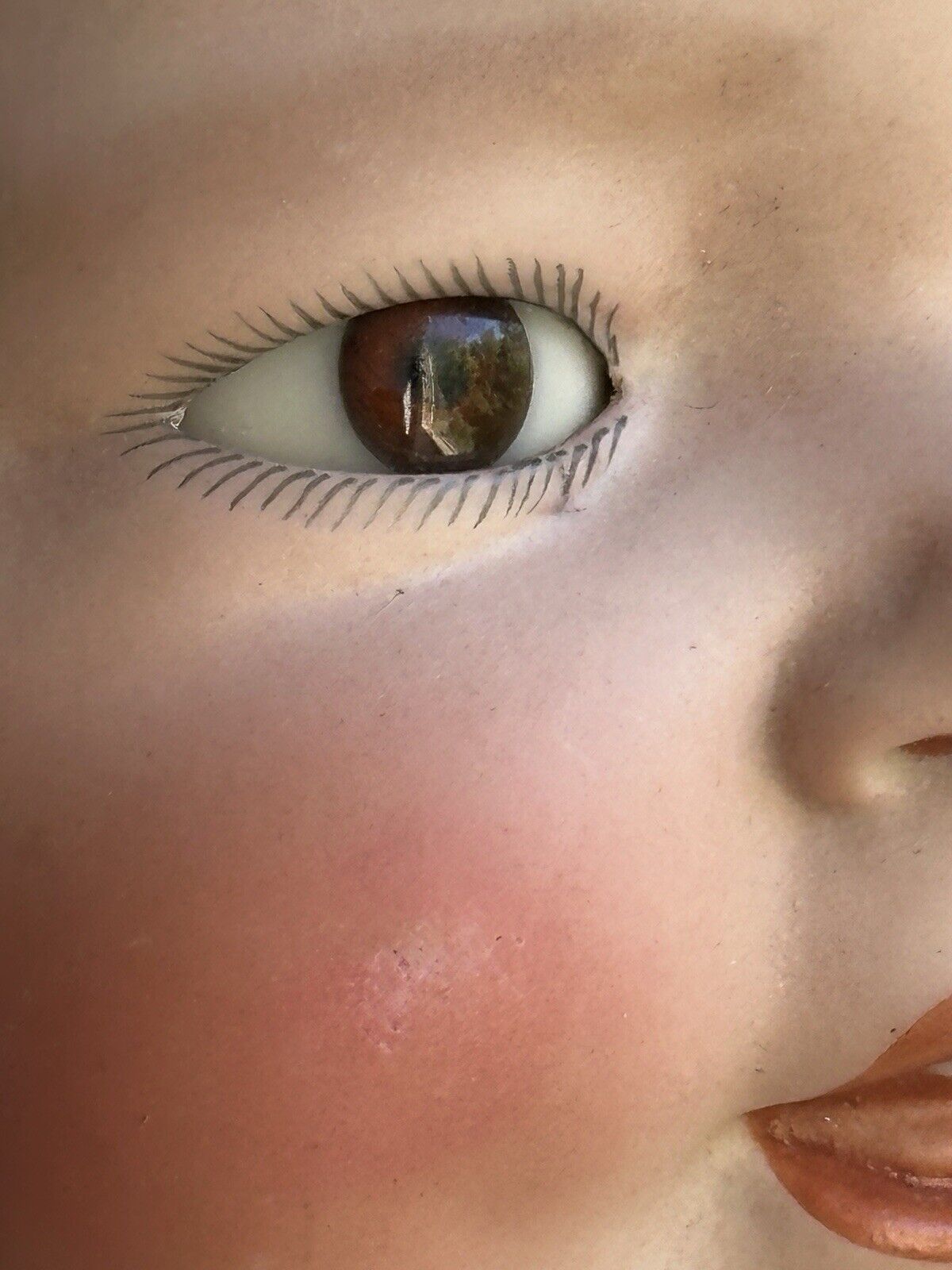 Antique Kestner Century Doll Co. Bisque Head Baby Doll