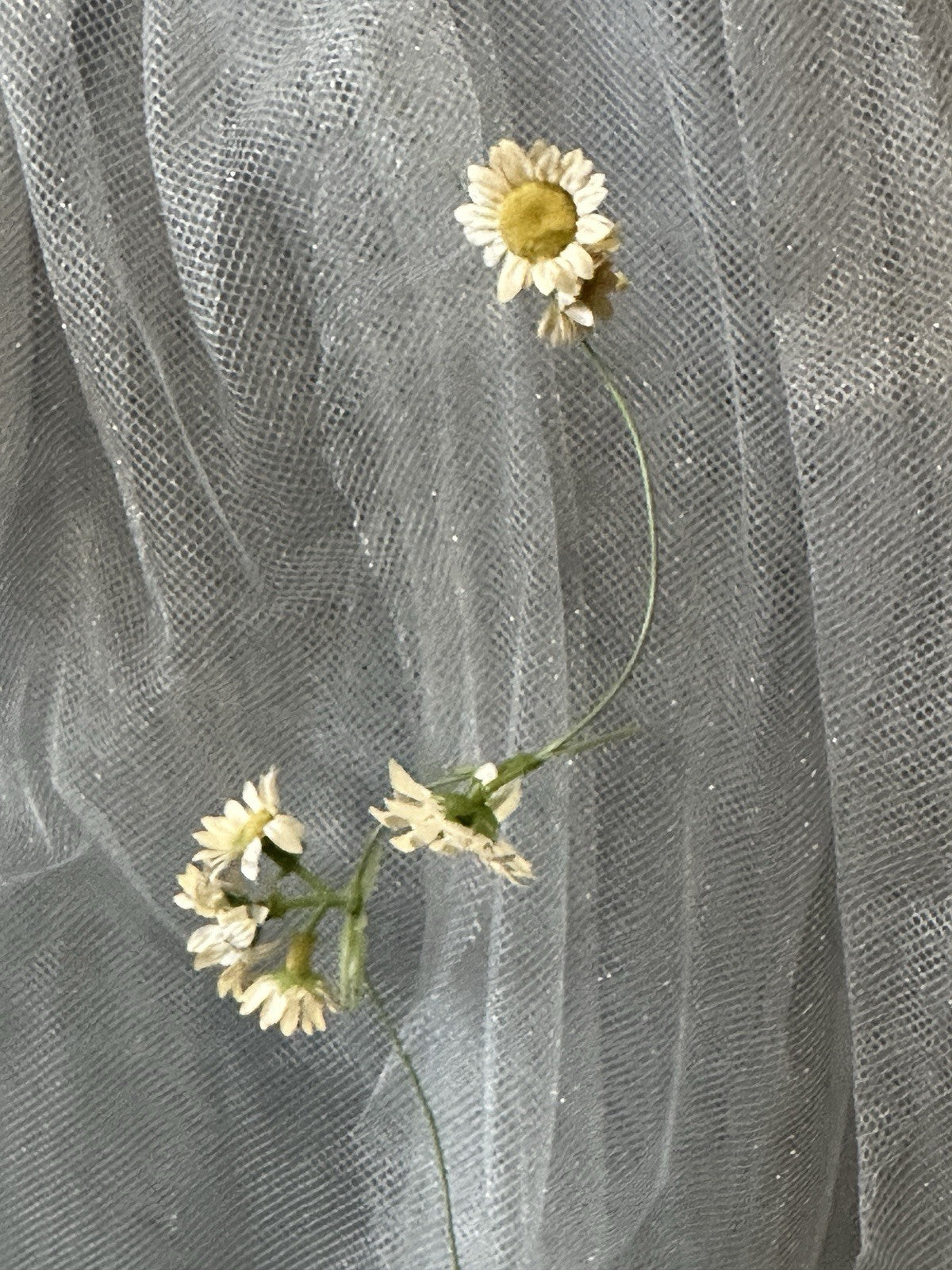 Collectible Annette Himstedt Vinyl 33 1/2” Doll “Nandini” Atlantis Series LE 277