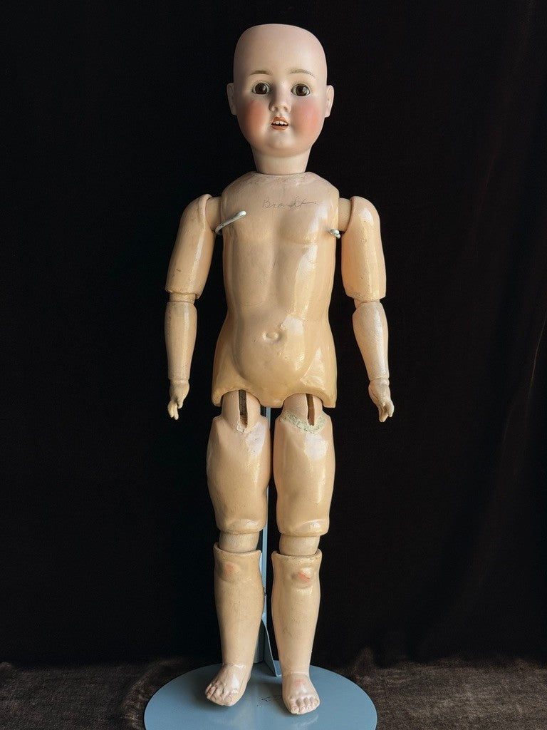 Large Antique German 29” Schoenau & Hoffmeister 914 Bisque Head Doll