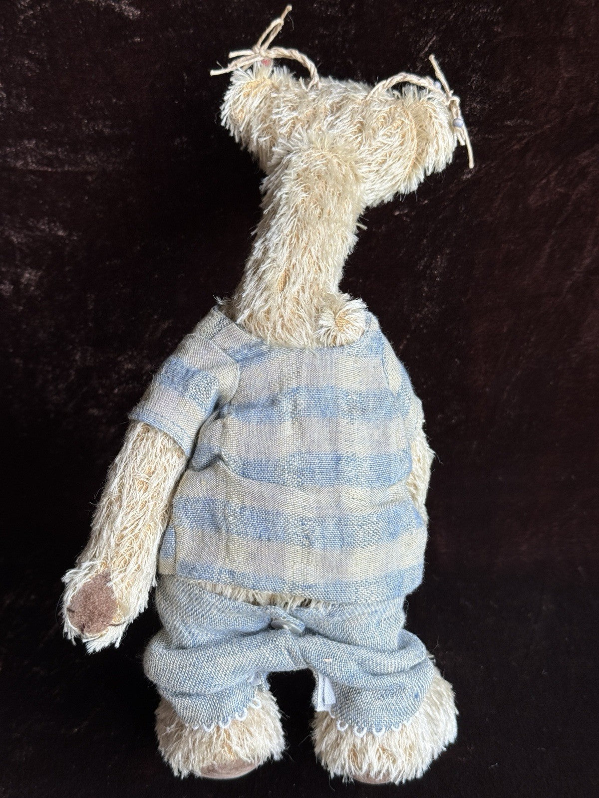 Zwergnase German 12” Artist Jolanda Bear 2000 LE 50 New in Box