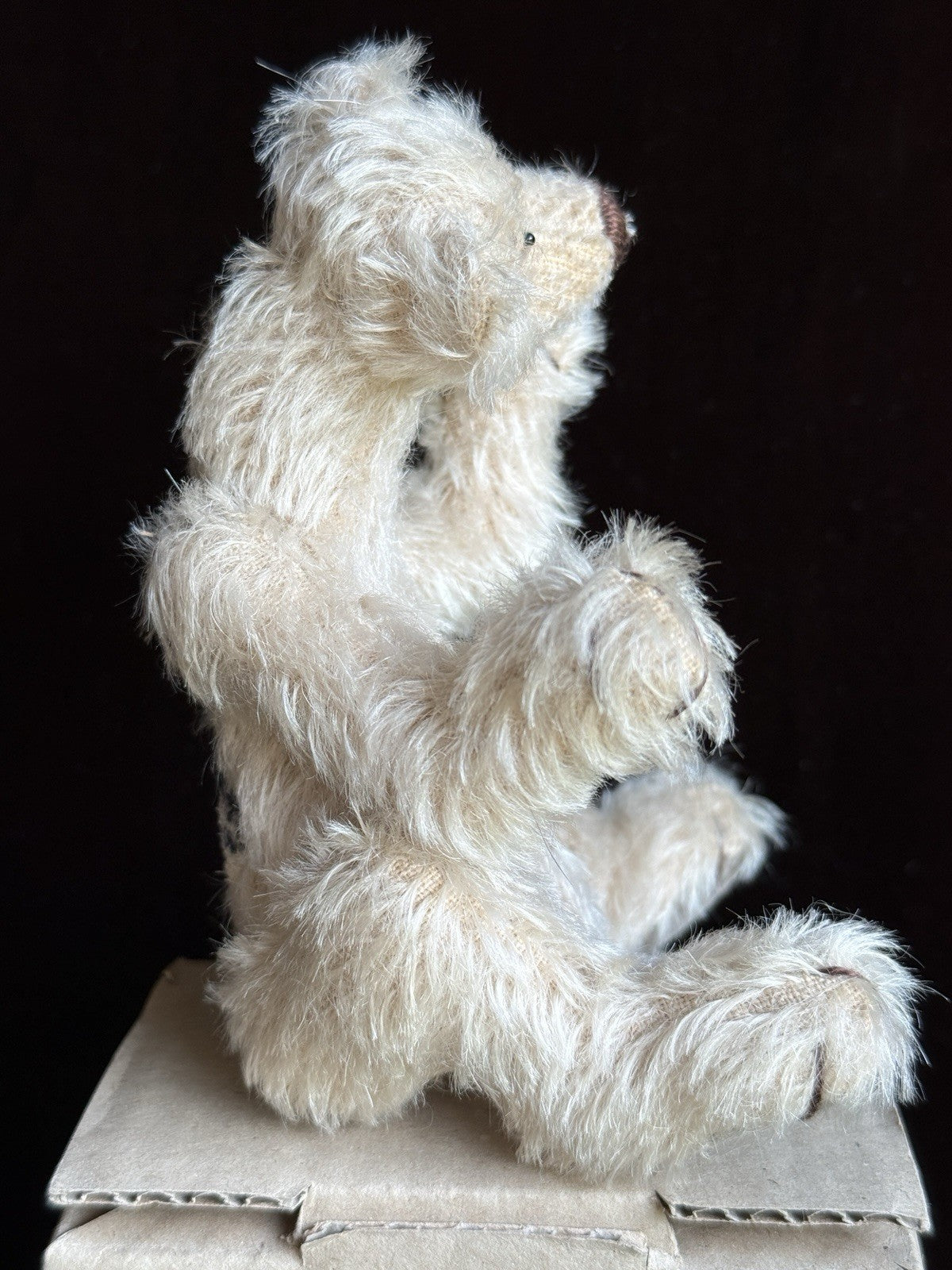 Zwergnase German Artist Miniature 5” Alvin Bear 1999 LE 50 New in Box