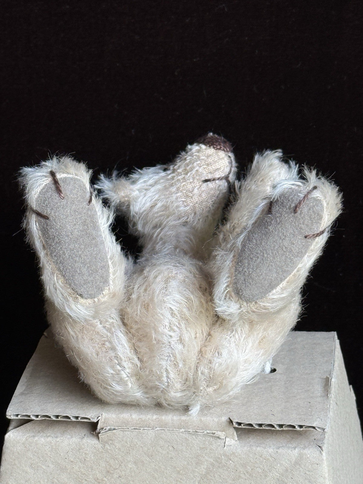 Zwergnase German Artist Miniature 5” Alvin Bear 1999 LE 50 New in Box