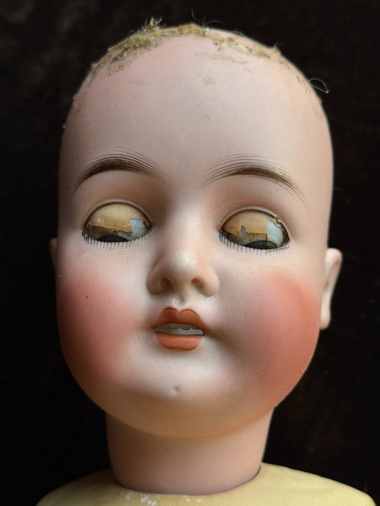 Antique German 25” Queen Louise Bisque Head Composition Body Doll