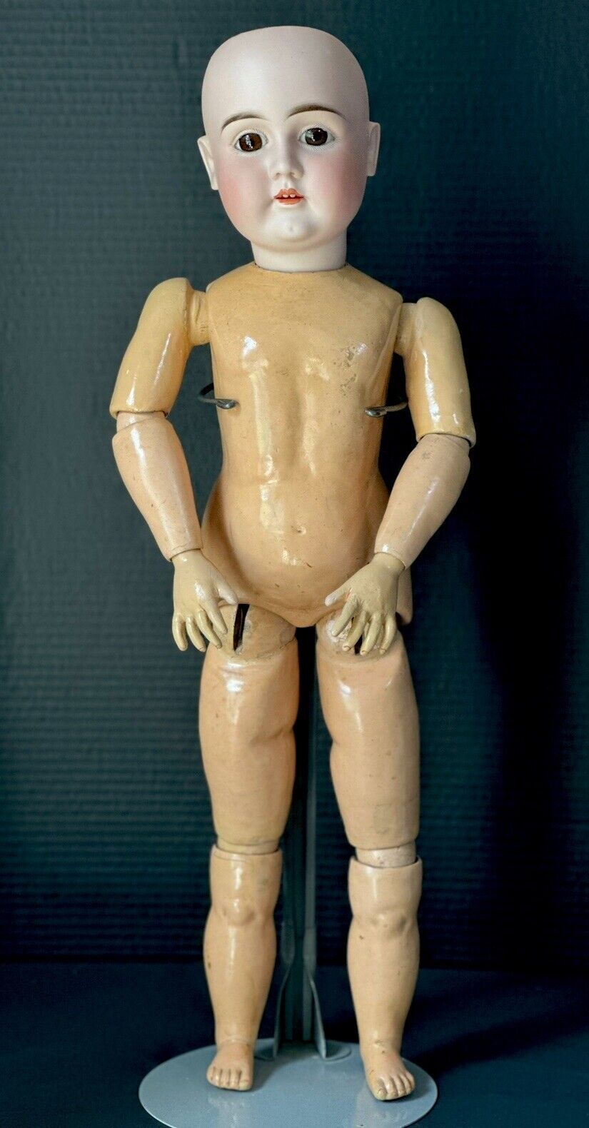 Large 28” JDK Kestner Mold 146(?)  Doll Bisque Head/Composition Body