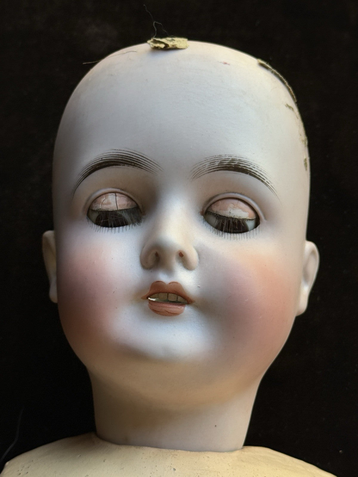Antique German 25” Queen Louise Bisque Head Composition Body Doll