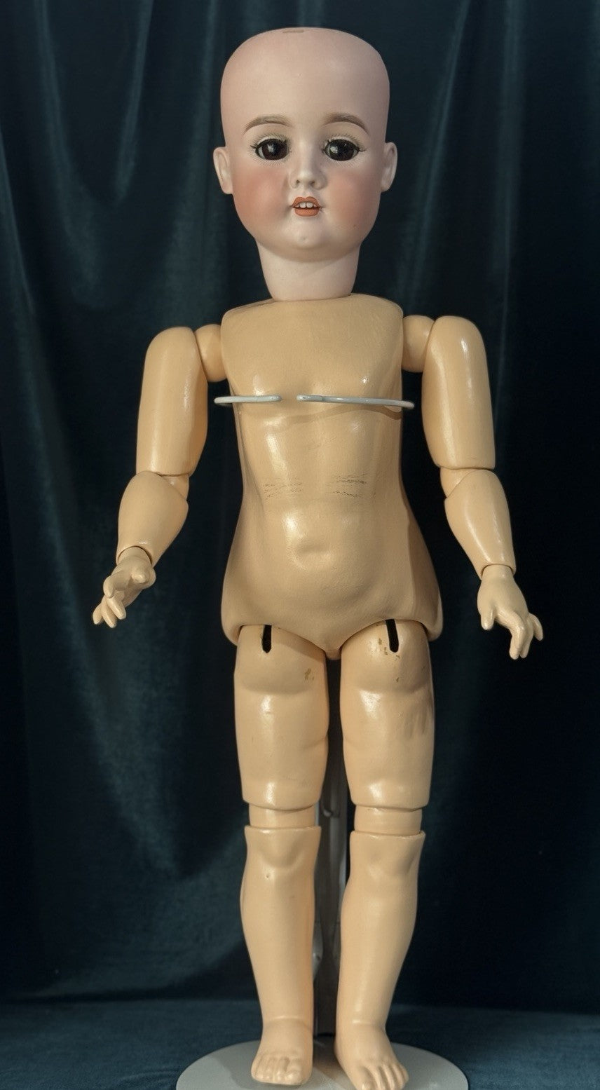 Antique German Schoenau & Hoffmeister 1906 Bisque Head Composition Body 28” Doll