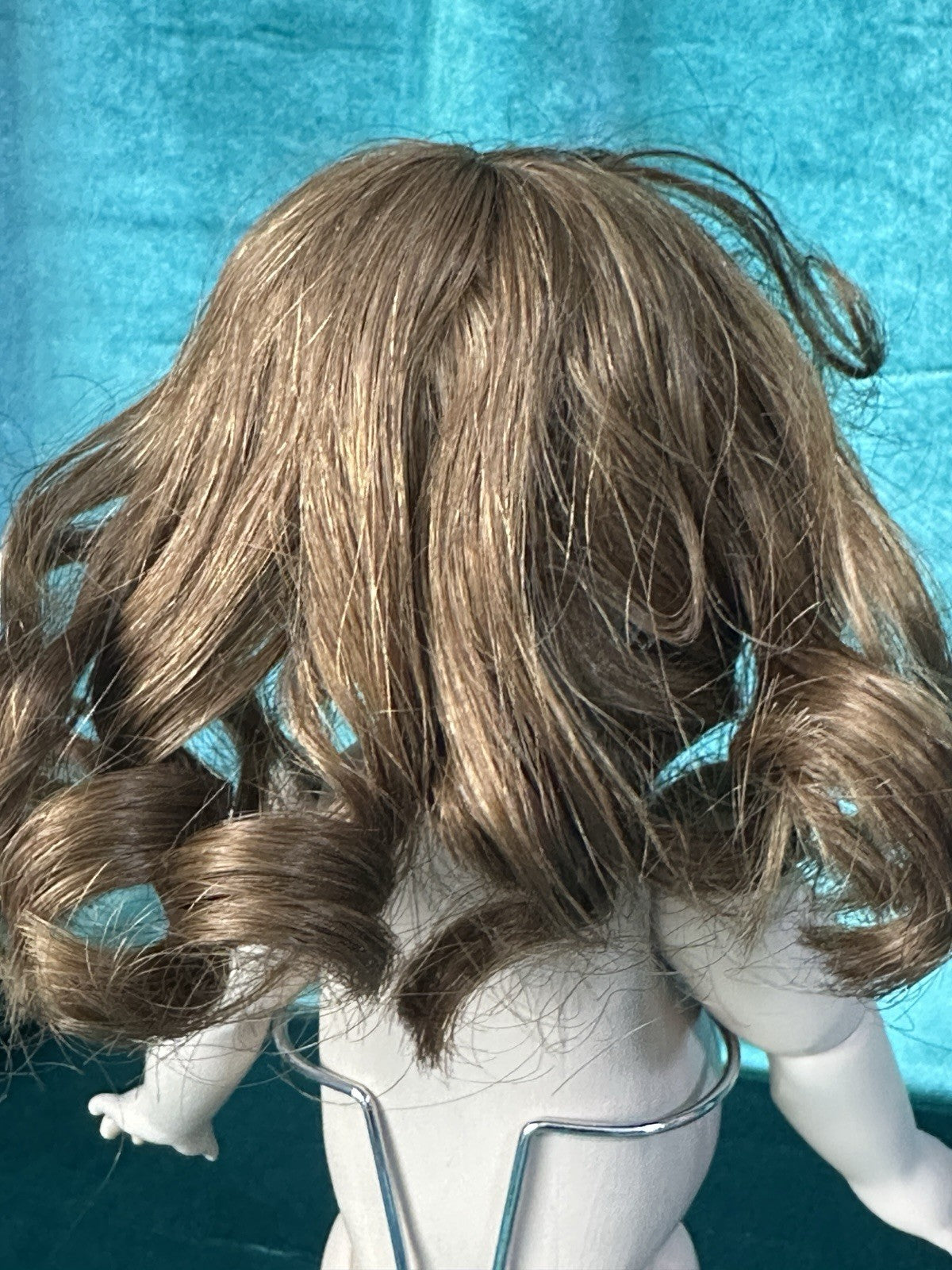 197ef945-8fd4-47ac-b911-d77ad69e78f0