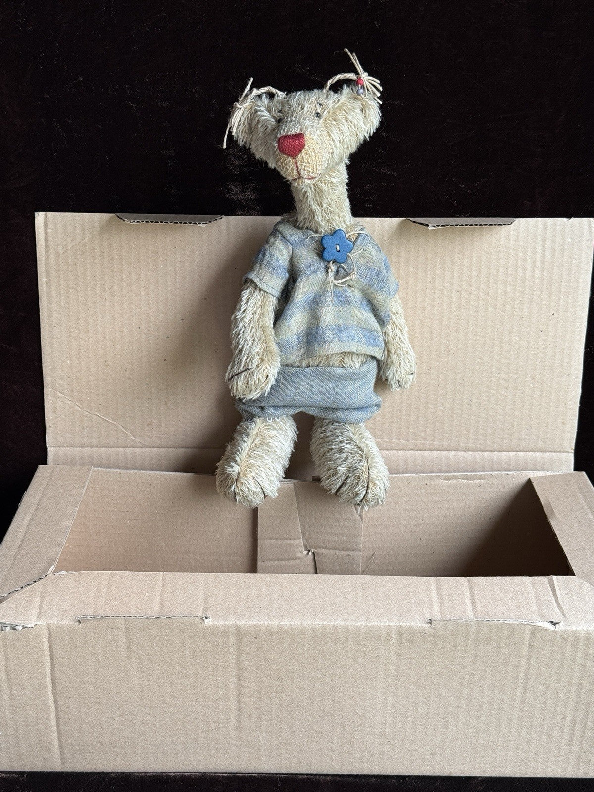 Zwergnase German 12” Artist Jolanda Bear 2000 LE 50 New in Box