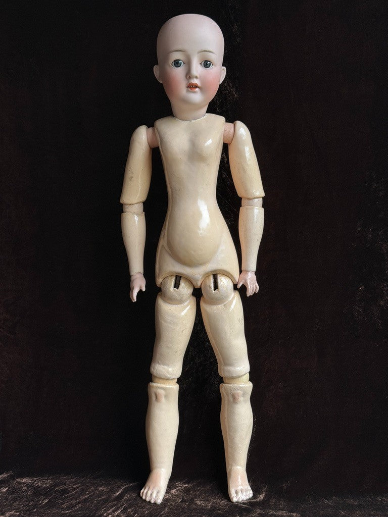 Antique German 26” Gebrüder Ohlhaver Revalo 10727 Bisque Head Lady Body Doll