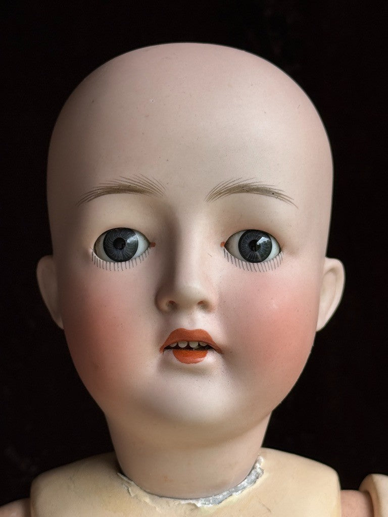 Antique German 26” Gebrüder Ohlhaver Revalo 10727 Bisque Head Lady Body Doll