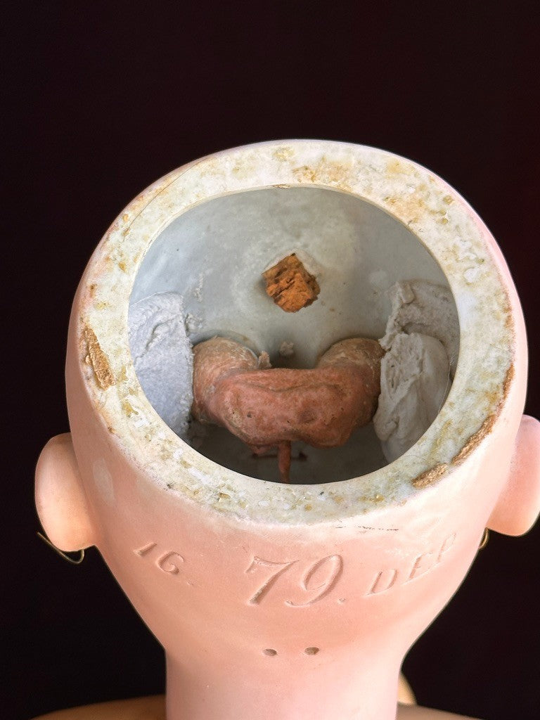 Large Antique German 31” Early Heinrich Handwerck 79 Bisque Head Doll