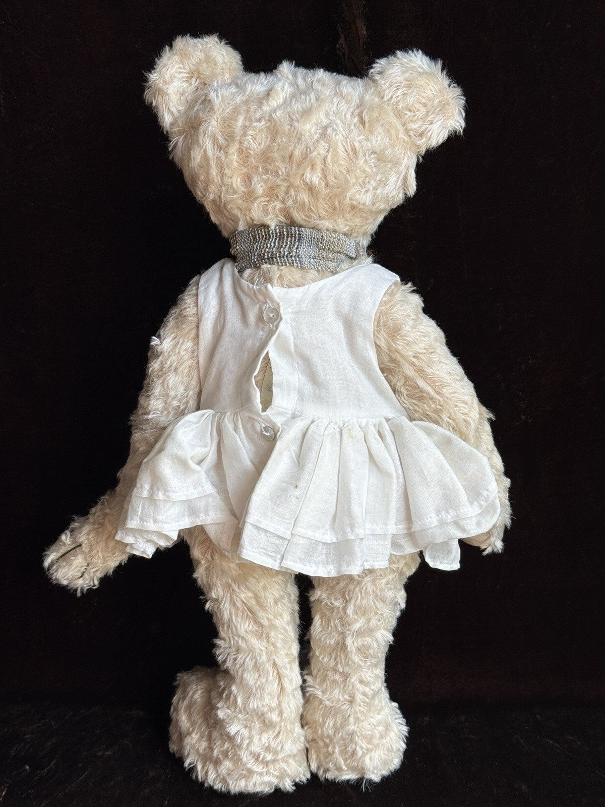 Zwergnase German 18.5” Lles. Muler Teddy Bear Artist Doll in Box + Tag