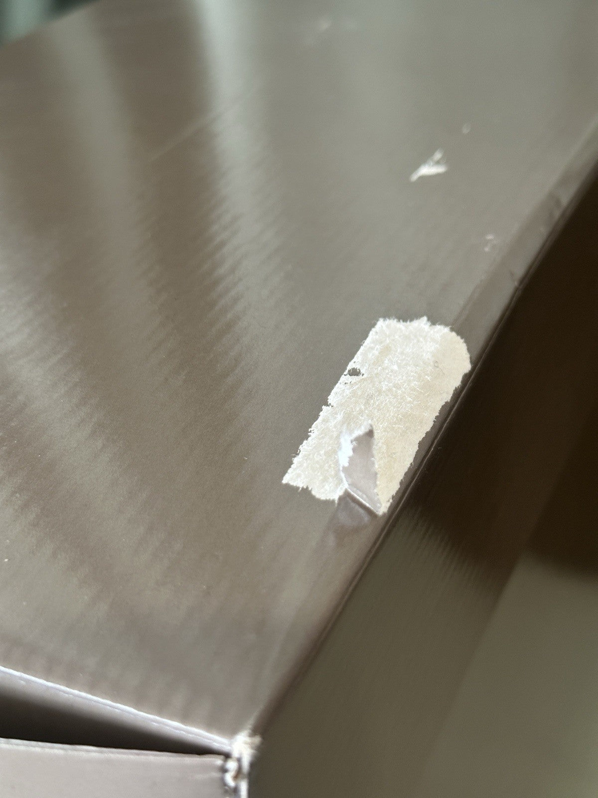 Vintage Sabine Esche Sigikid Company Vinyl Boy 21” Doll “Stan” LE 750 Box + Tag