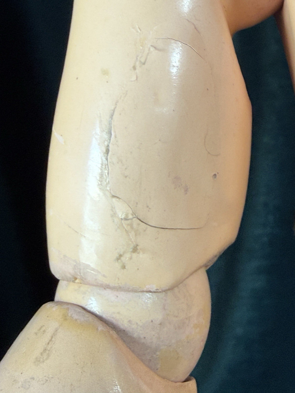 Antique German Simon Halbig Heinrich Handwerck 19” Doll Bisque Head