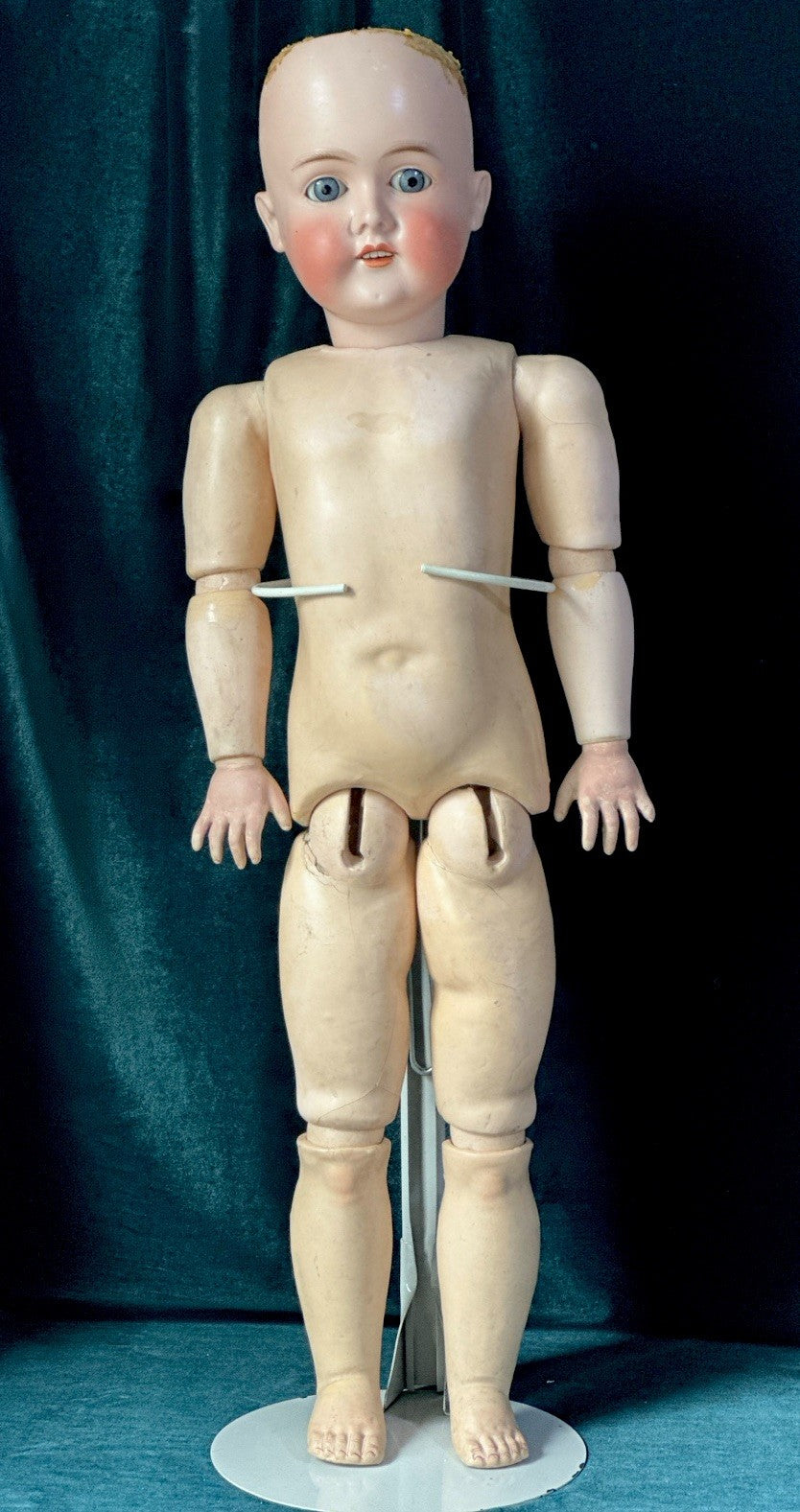 Antique German 29” Queen Louise Doll Bisque Head Composition Body