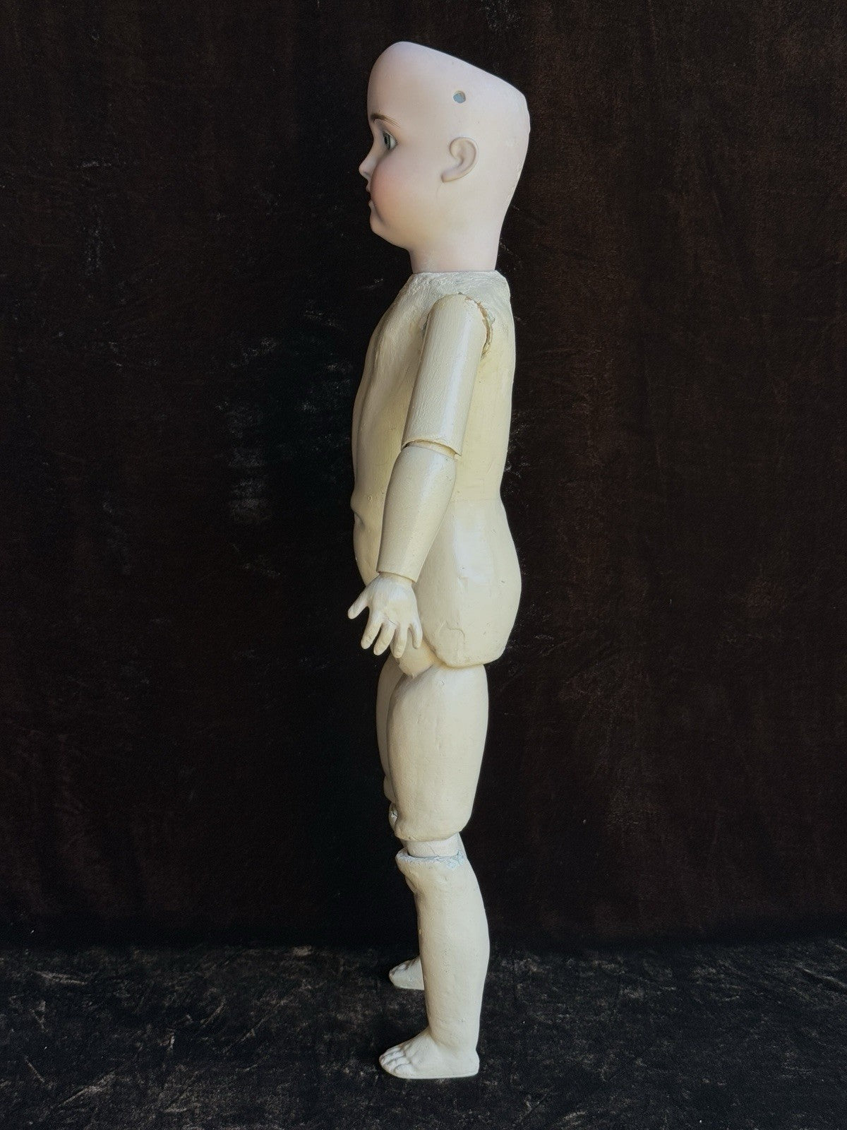 Antique German 20” Schoenau & Hoffmeister 1906 Bisque Head Doll