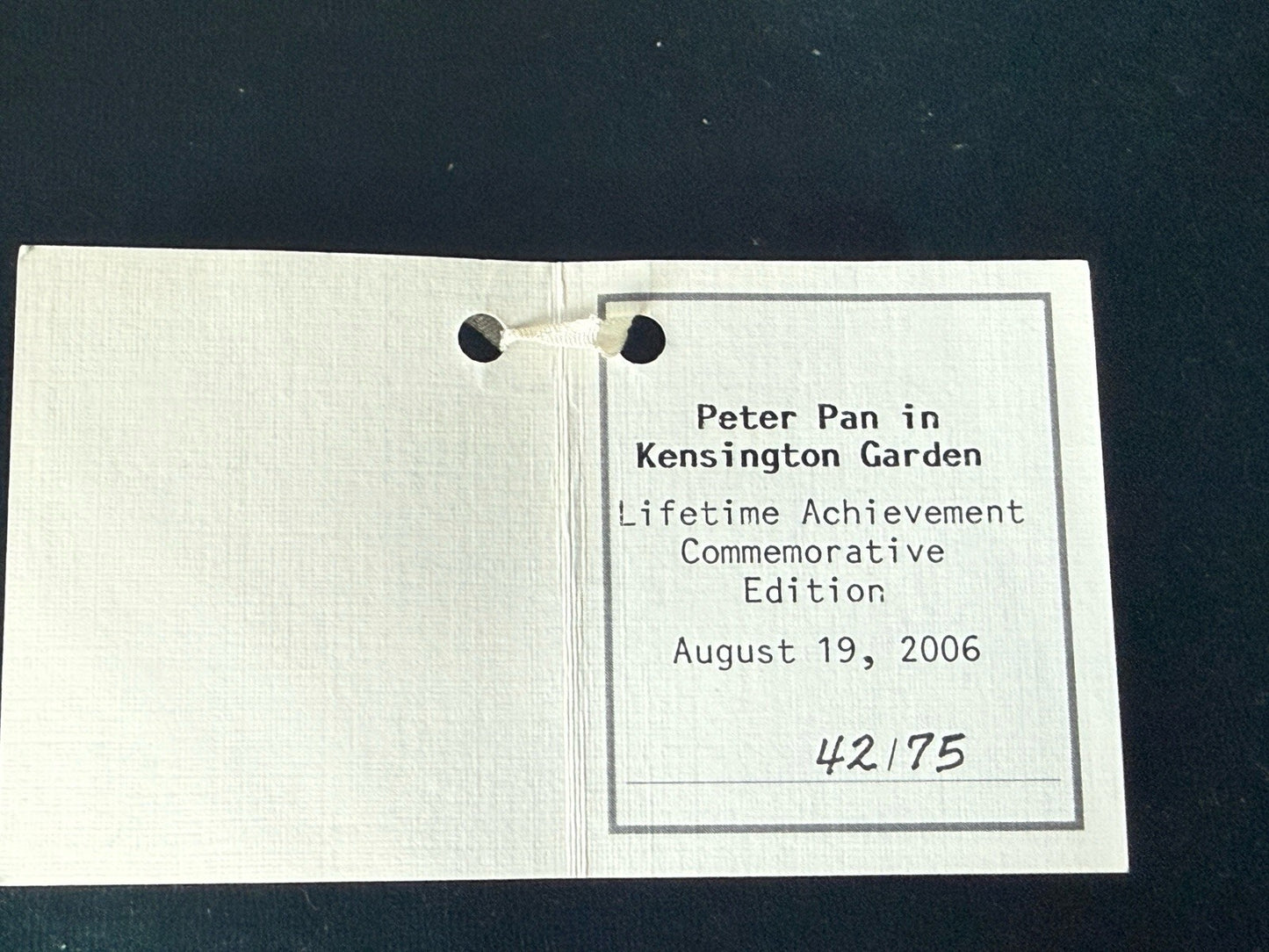 MIB Wendy Lawton “Peter Pan In Kensington Garden” Wood 9” Doll LE 75 Box/COA/Tag