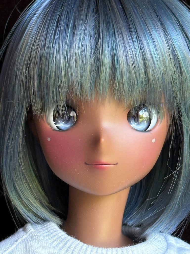 Smart Doll CURIOSITY COFFEE BJD Anime Style Doll by Danny Choo Box Accessories