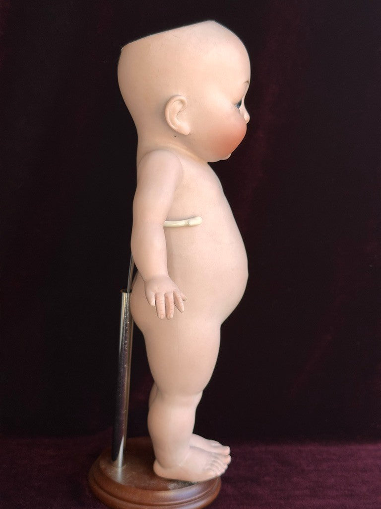 Rare Large 11" Hertel Schwab 222 "Our Fairy" All Bisque Googly Eyes Doll