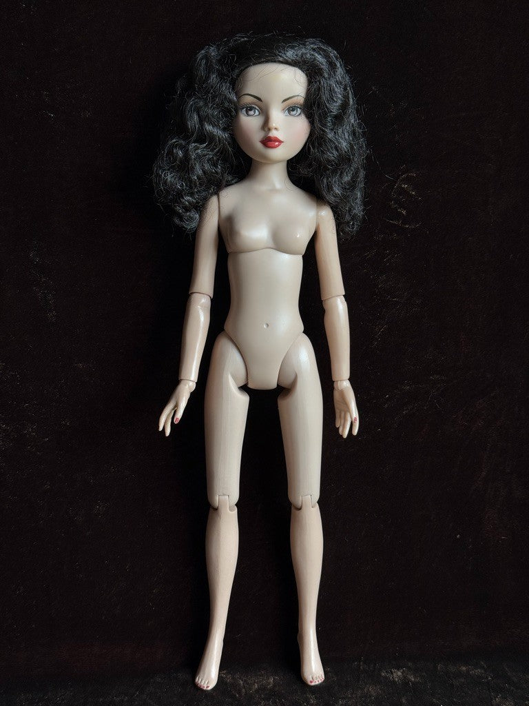 Tonner Ellowyne Wilde Essential Brunette Fashion Doll Box + Extra Outfit