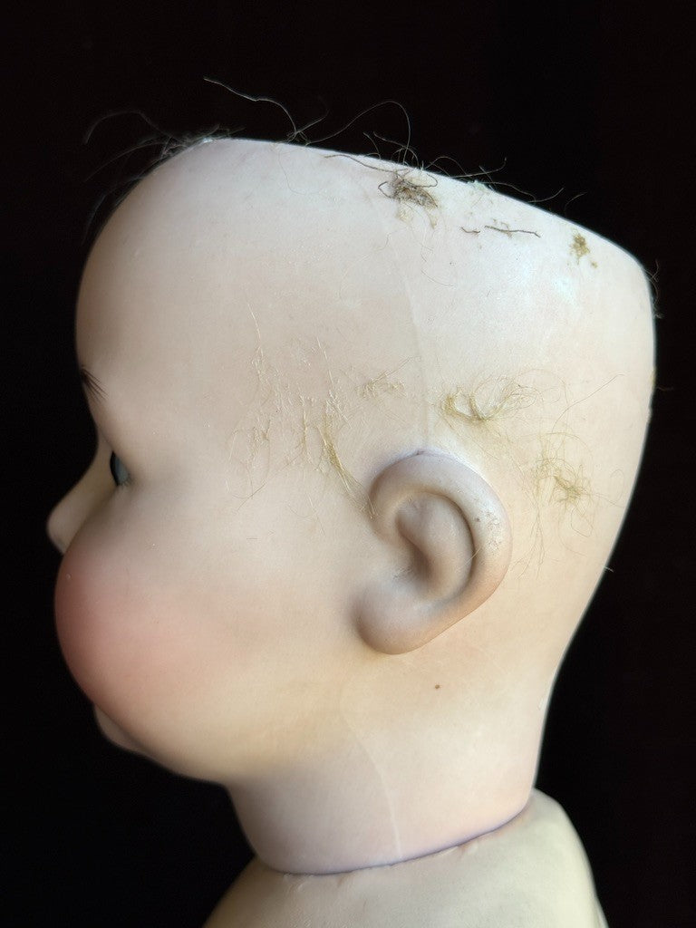 Antique German 21" Franz Schmidt 1295 Bisque Head Baby Doll Flirty Eyes