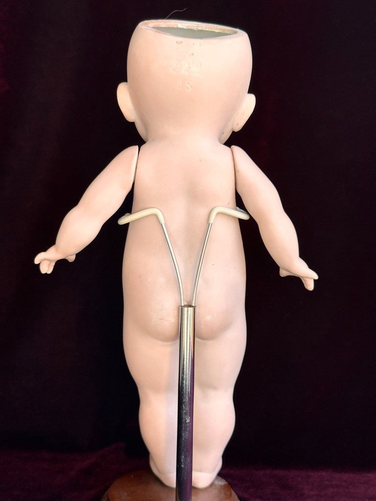 Rare Large 11" Hertel Schwab 222 "Our Fairy" All Bisque Googly Eyes Doll