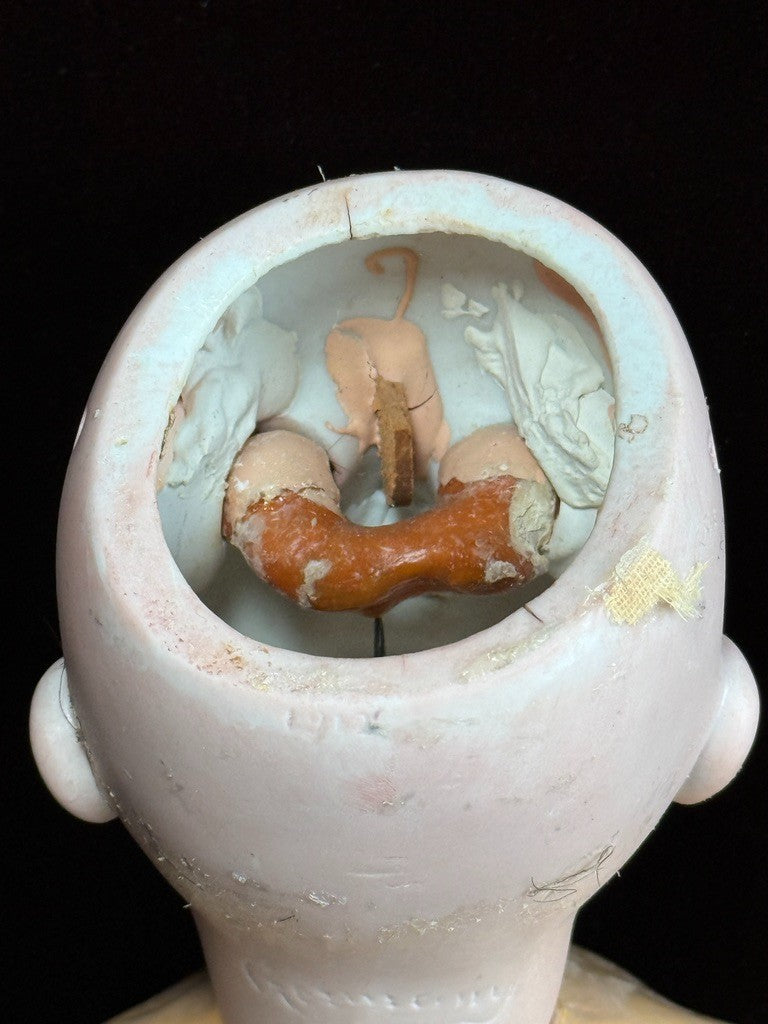 Antique German 22” Goebel B3 Bisque Head Composition Body Doll