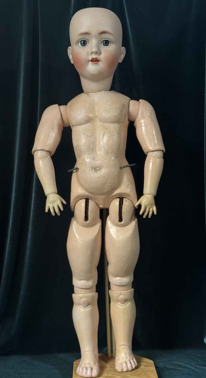 Antique German Walkure 30” Doll Bisque Head Composition Body