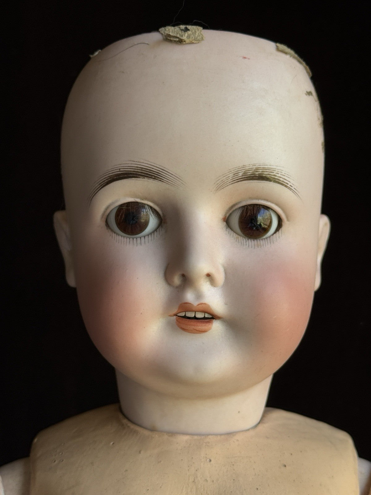 Antique German 25” Queen Louise Bisque Head Composition Body Doll