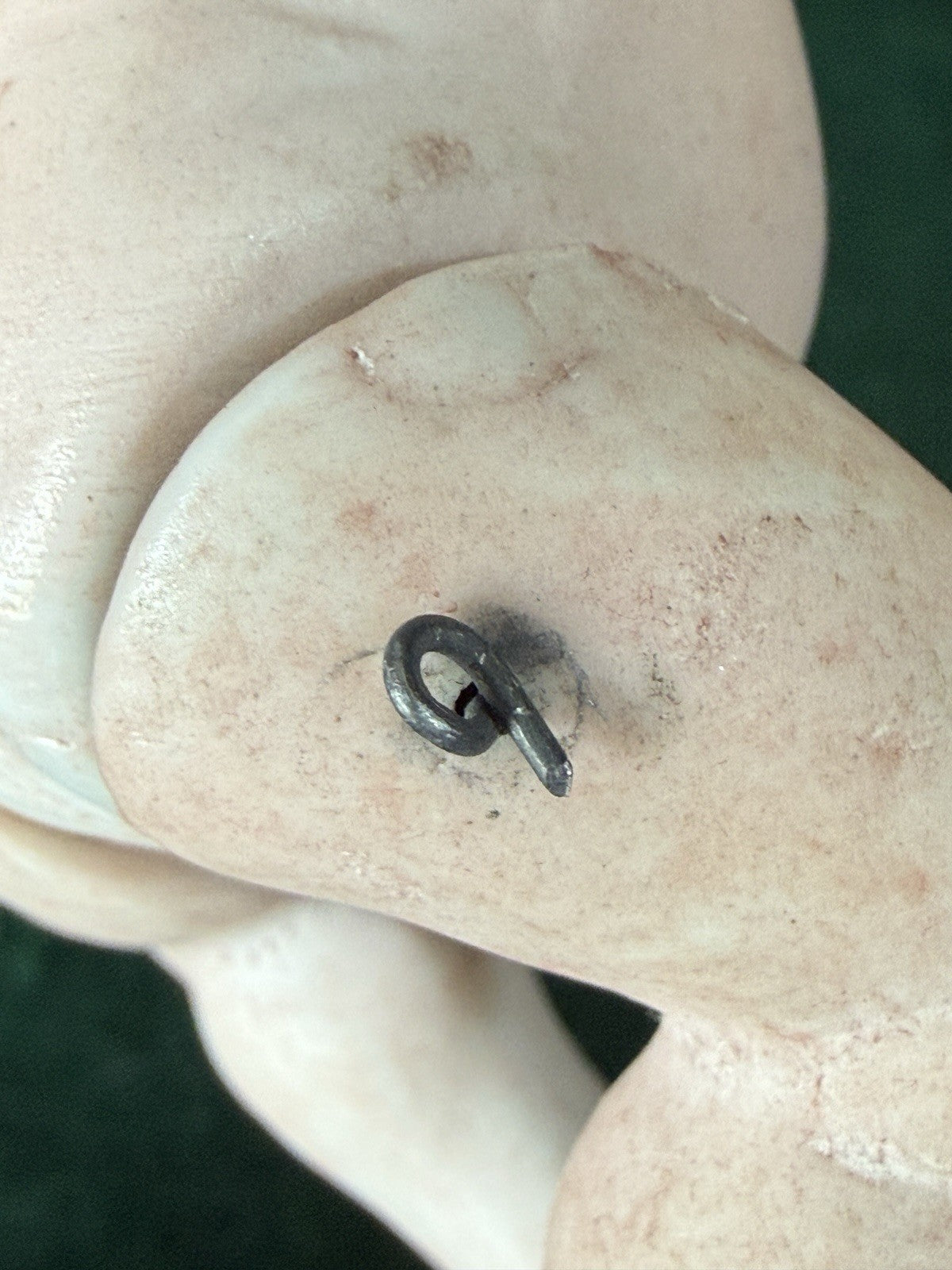 Antique German 5” All Bisque Miniature Baby Doll