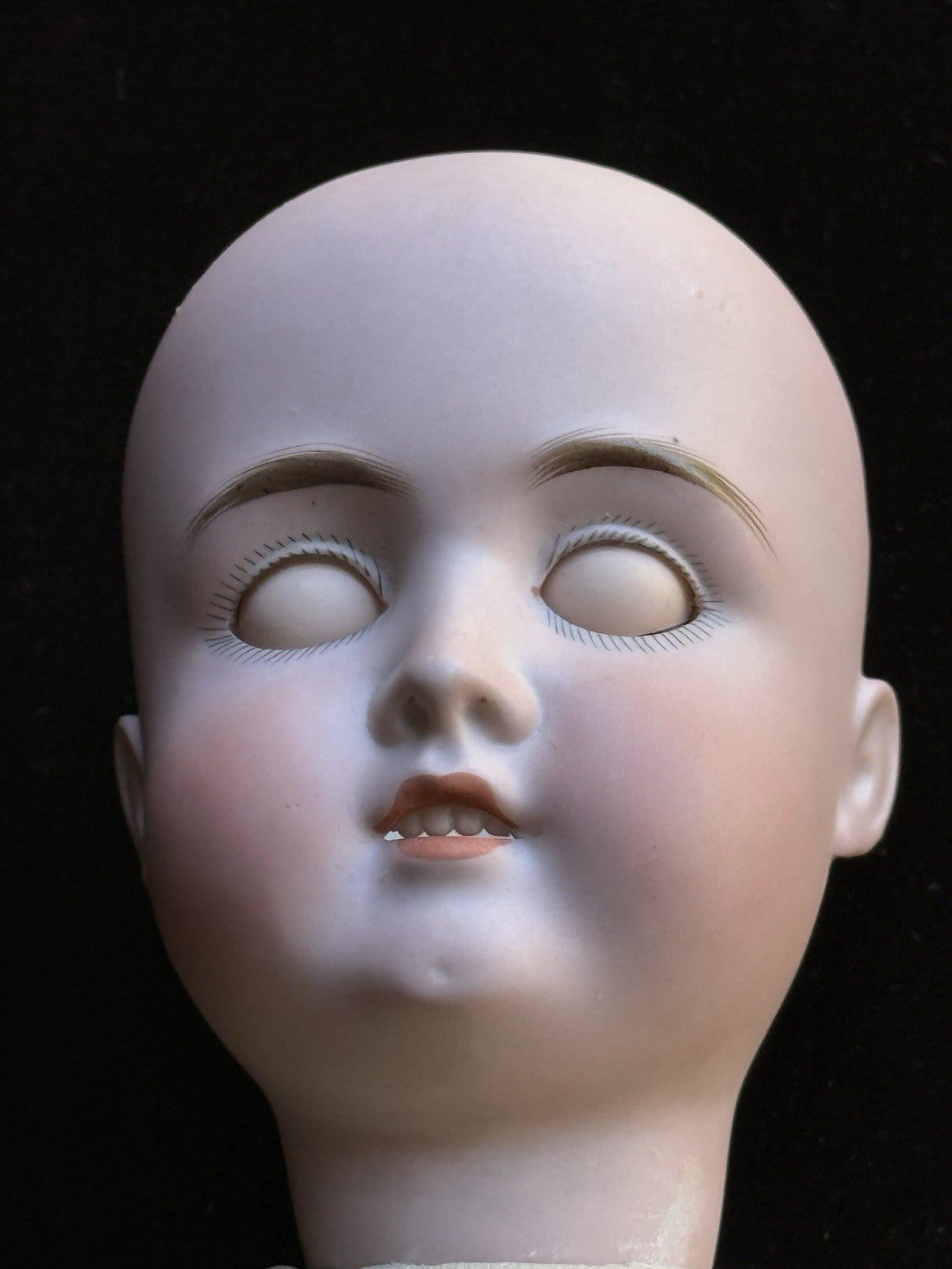 Antique German 20” Schoenau & Hoffmeister 1906 Bisque Head Doll