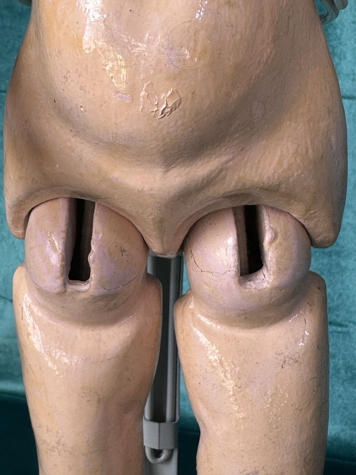 Antique German Max Handwerck Bisque Head 17” Doll Mold 421