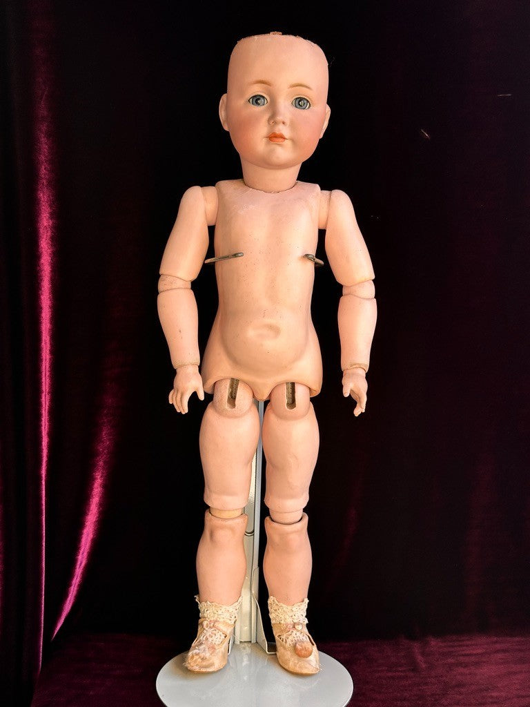 Antique German 26” Kammer Reinhardt 117 Mein Liebling Bisque Head Doll