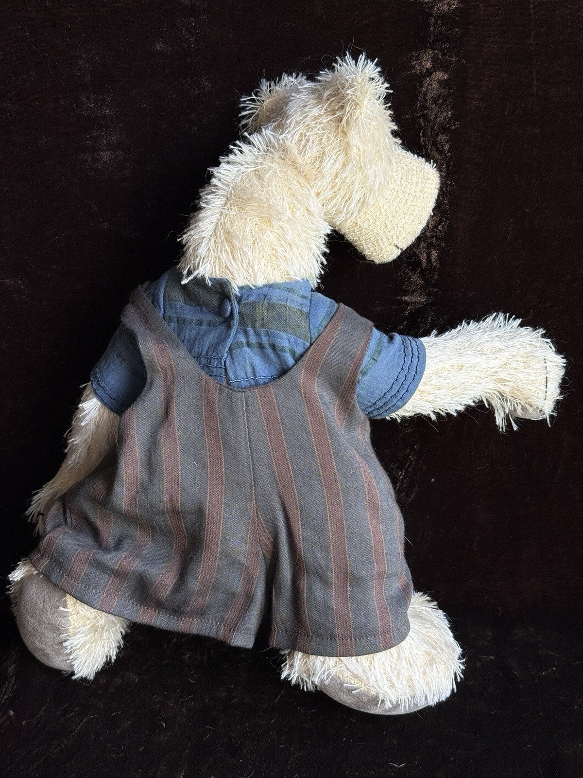 Zwergnase German 14” Fritz Teddy Bear in Box