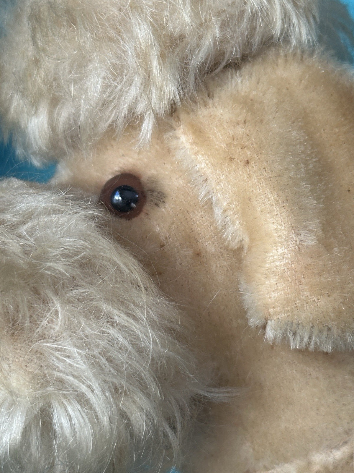 Vintage 1950’s  Stuffed Poodle Dog By Metropolitan Fur Toy Company Original Box